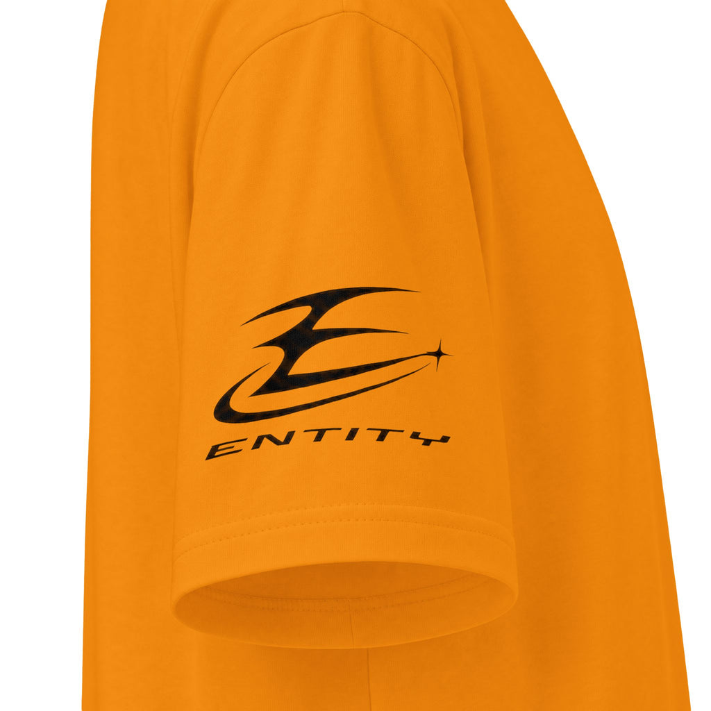 Reverse Entity Heavyweight Tee