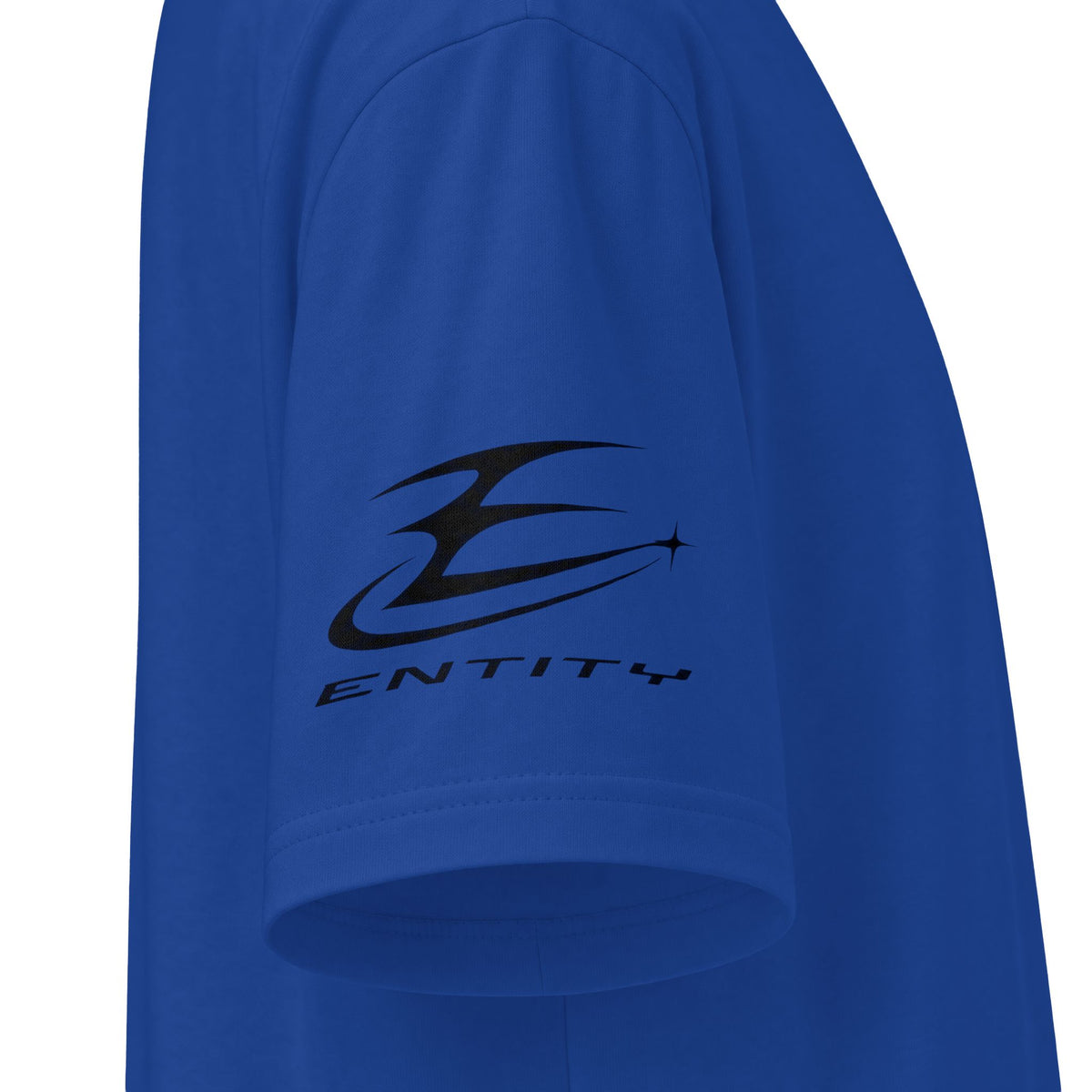 Reverse Entity Heavyweight Tee