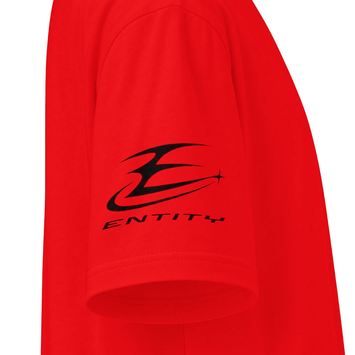 Reverse Entity Heavyweight Tee
