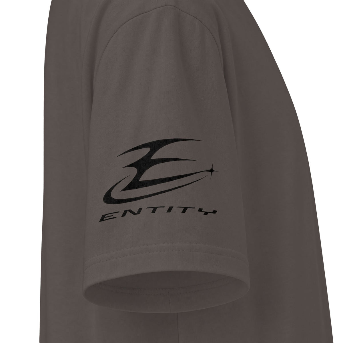 Reverse Entity Heavyweight Tee